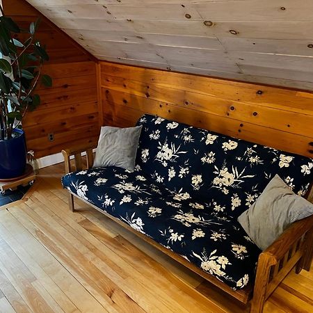 Bright And Cozy Treehouse Apartment Burlington Ngoại thất bức ảnh